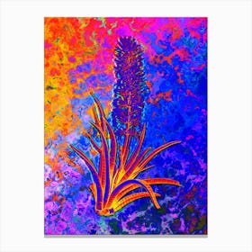 Snake Plant Botanical in Acid Neon Pink Green and Blue n.0104 Canvas Print