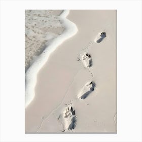 Footprints In The Sand 1 Canvas Print