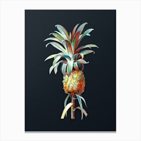 Vintage Pineapple Botanical Watercolor Illustration on Dark Teal Blue n.0902 Canvas Print