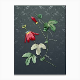 Vintage Red Passion Flower Botanical on Slate Gray Pattern n.0711 Canvas Print