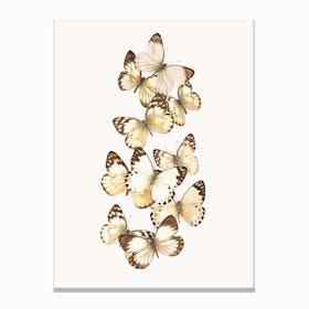 Butterflies I Canvas Print