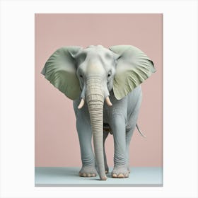 Elephant Toile