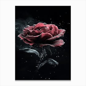 Rose In Water 1 Canvas Print