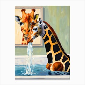 Giraffes In The Bath Canvas Print