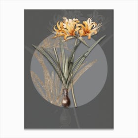 Vintage Botanical Golden Hurricane Lily on Circle Gray on Gray n.0066 Canvas Print