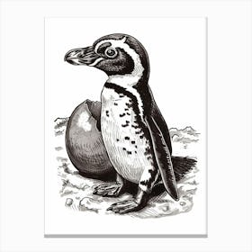 African Penguin Hatching 3 Canvas Print