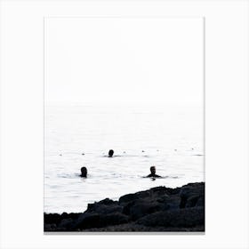 Friends On The Water Canvas Print
