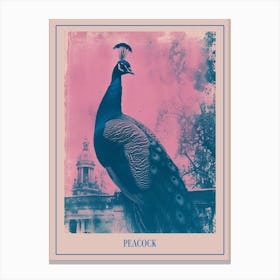 Peacock In A Palace Cyanotype Inspired 1 Poster Canvas Print