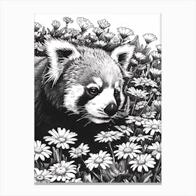Red Panda Resting In A Field Of Daisies Ink Illustration 1 Canvas Print