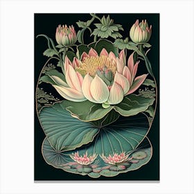 Water Lily 3 Floral Botanical Vintage Poster Flower Canvas Print