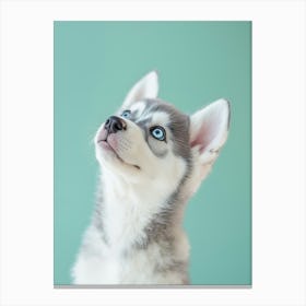 Husky Puppy Looking Up. Generated with AI. Art Print Canvas Print