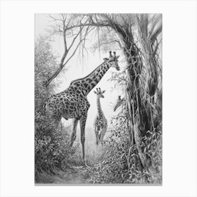Giraffes In The Wild Pencil Portrait 1 Canvas Print
