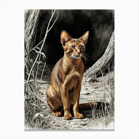 Abyssinian Cat Canvas Print