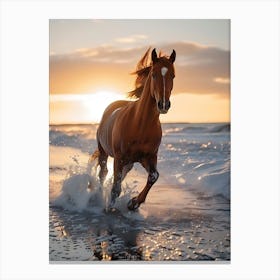 Horse Galloping On The Beach Canvas Print