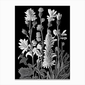 Speedwell Wildflower Linocut Canvas Print