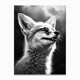 Bengal Fox Portrait Pencil Drawing 6 Canvas Print