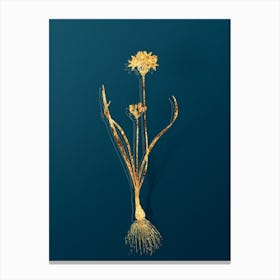Vintage Three Cornered Leek Botanical in Gold on Teal Blue n.0320 Canvas Print