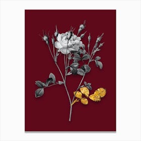 Vintage Anemone Sweetbriar Rose Black and White Gold Leaf Floral Art on Burgundy Red n.0677 Canvas Print