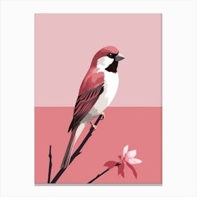 Minimalist House Sparrow 4 Illustration Canvas Print