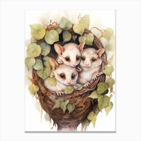 Adorable Chubby Mother Possum With Babies 1 Canvas Print