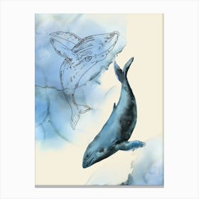 Humpback Whales Canvas Print