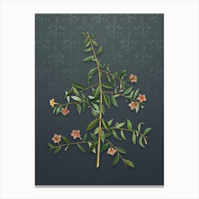 Vintage Goji Berry Botanical on Slate Gray Pattern Canvas Print