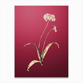 Gold Botanical Spring Garlic on Viva Magenta n.0575 Canvas Print