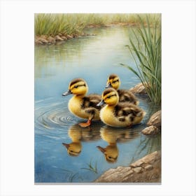 Ducklings 1 Canvas Print