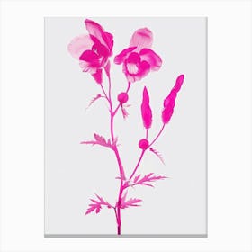 Hot Pink Aconitum 1 Canvas Print