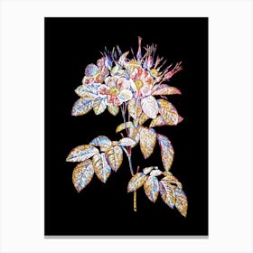 Stained Glass Pasture Rose Mosaic Botanical Illustration on Black Canvas Print