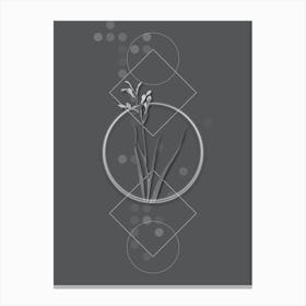 Vintage Gladiolus Cunonius Botanical with Line Motif and Dot Pattern in Ghost Gray n.0354 Canvas Print