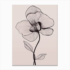 Line Art Orchids Flowers Illustration Neutral 14 Canvas Print