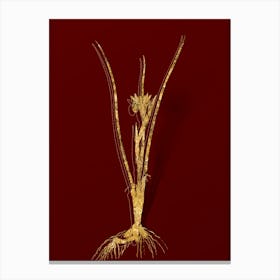 Vintage Snake's Head Botanical in Gold on Red n.0513 Canvas Print