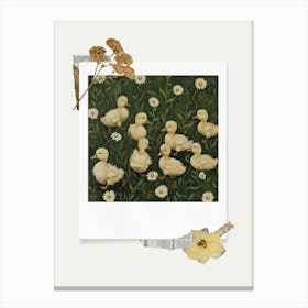 Scrapbook Ducklings Fairycore Painting 1 Canvas Print