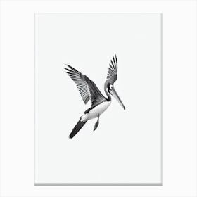 Brown Pelican B&W Pencil Drawing 1 Bird Canvas Print
