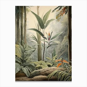Vintage Jungle Botanical Illustration Bird Of Paradise 2 Canvas Print