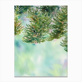 Acropora Echinata Storybook Watercolour Canvas Print