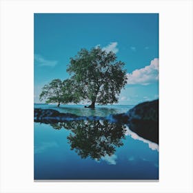 Tree Reflected In Water Canvas Print