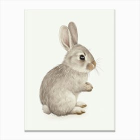 Chinchilla Rabbit Kids Illustration 1 Canvas Print