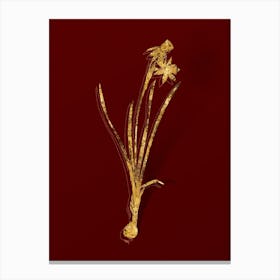 Vintage Narcissus Calathinus Botanical in Gold on Red n.0180 Canvas Print