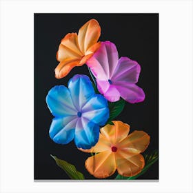 Bright Inflatable Flowers Phlox 1 Canvas Print