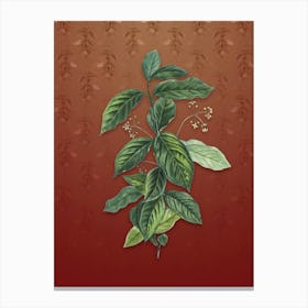 Vintage Broadleaf Spindle Botanical on Falu Red Pattern n.0375 Canvas Print
