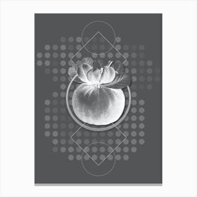 Vintage Bigarade Orange Botanical with Line Motif and Dot Pattern in Ghost Gray n.0145 Canvas Print
