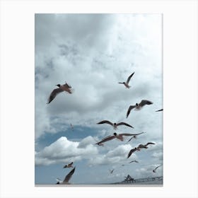 Sea Side Gulls Canvas Print