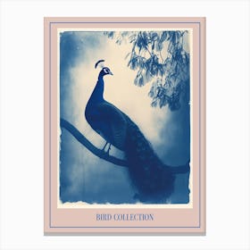 Peacock In The Tree Cyanotype Inspired 4 Poster Canvas Print