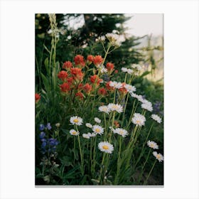 Wildflower Bunch Canvas Print