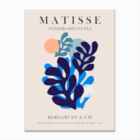 Matisse poster 3 Canvas Print