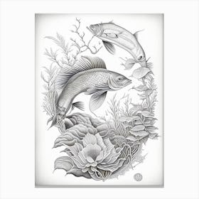 Kage Shiro Koi Fish Haeckel Style Illustastration Canvas Print