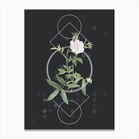 Vintage White Rose of York Botanical with Geometric Line Motif and Dot Pattern n.0095 Canvas Print