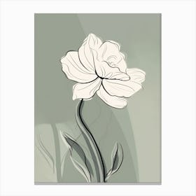 Daffodils Line Art Flowers Illustration Neutral 18 Canvas Print